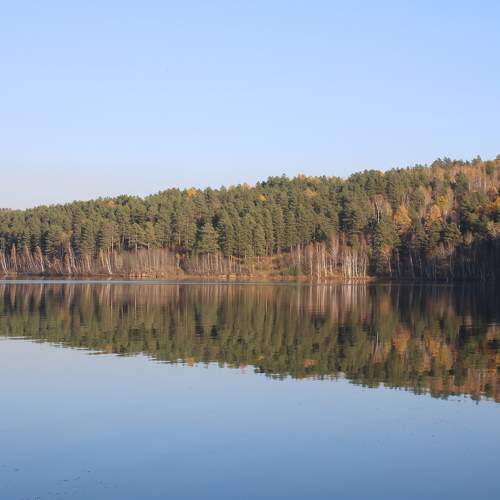 Photo #11120952