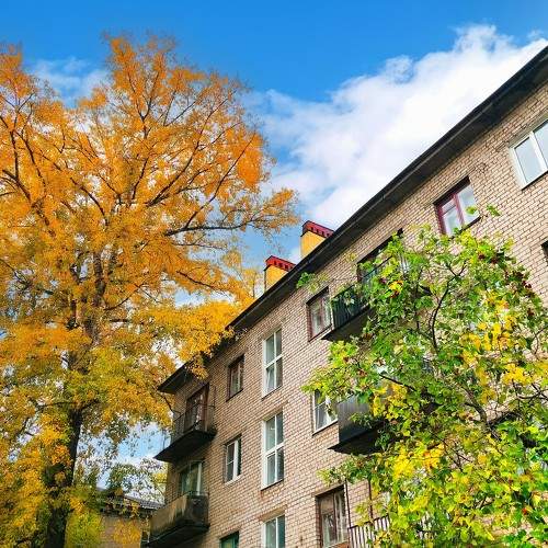 Photo #11121025