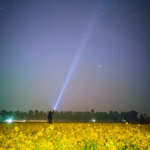 Photo #11121231