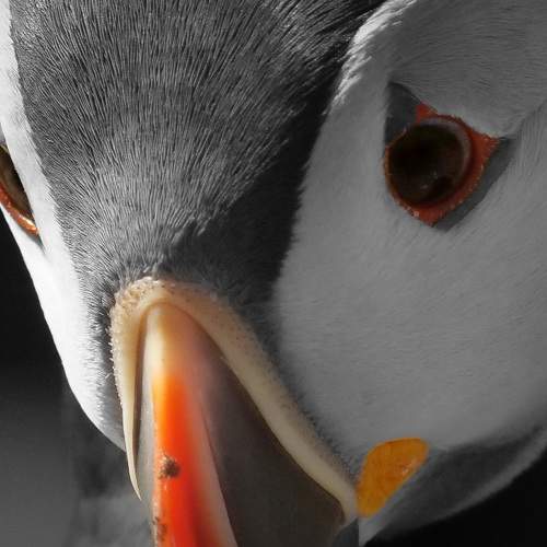 Eyes on the Prize