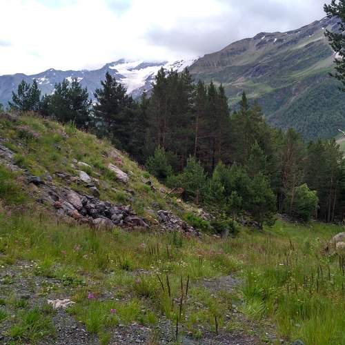 Photo #11121590