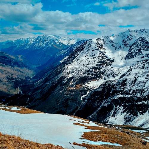 Photo #11121611