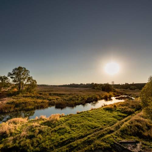 Photo #11121730
