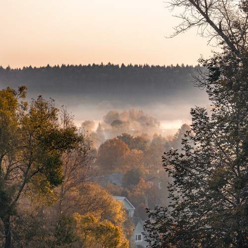 Photo #11121761