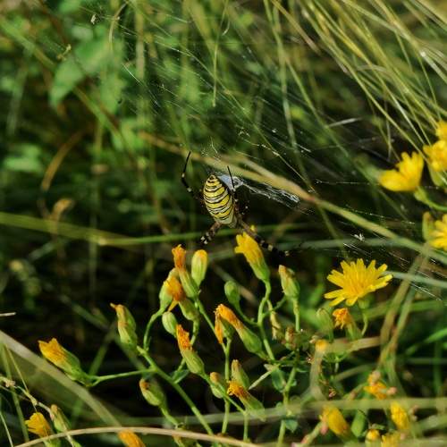 Photo #11121845