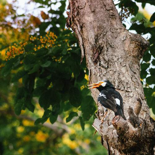 Photo #11121869