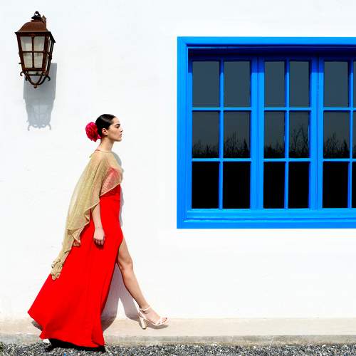 Photo #11121875