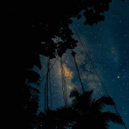 Photo #11122101