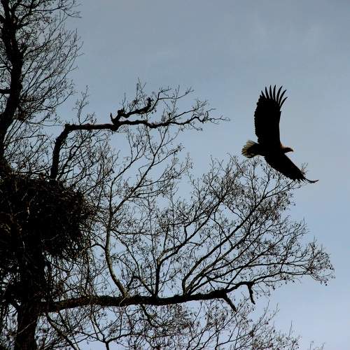 Photo #11122504