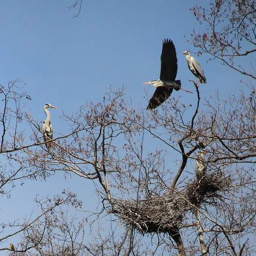 Photo #11122505