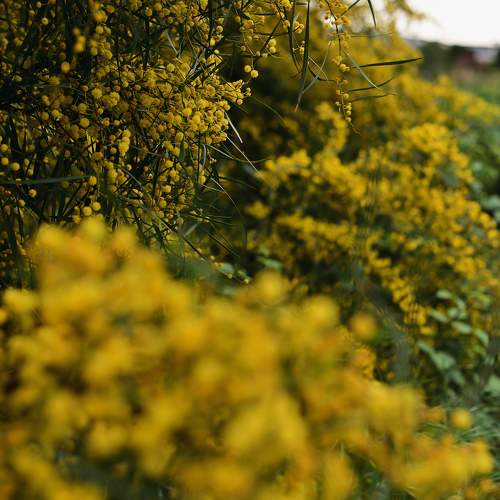 Photo #11122840