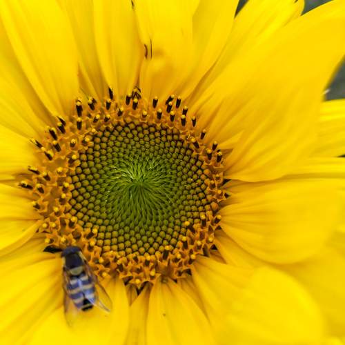 Photo #11122932