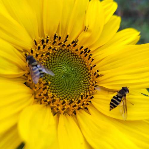 Photo #11122934