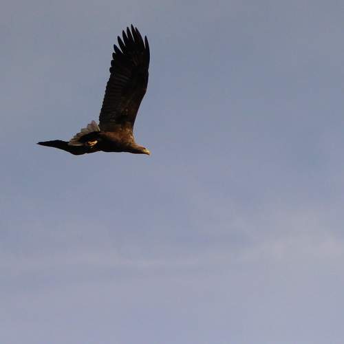 Photo #11122952
