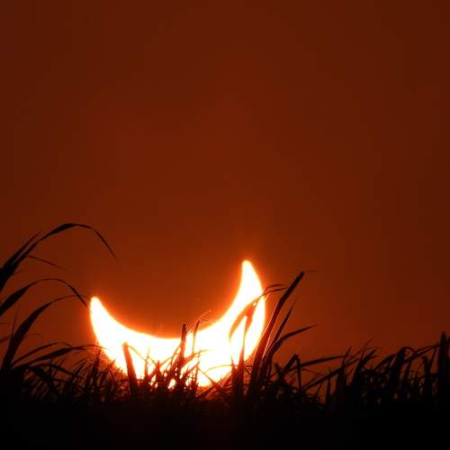 Photo #11123047
