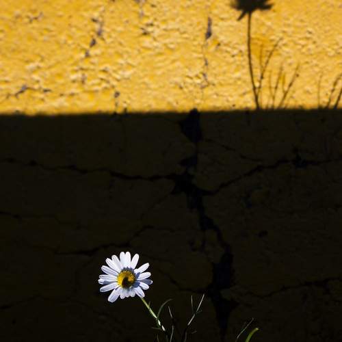 Photo #11123111