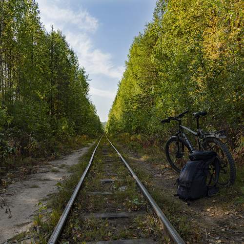 Photo #11123451