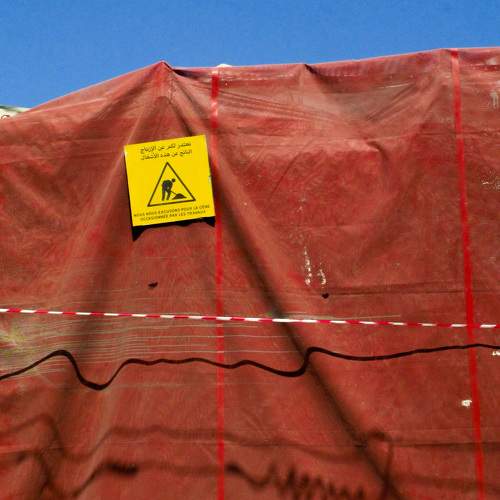 Photo #11123557
