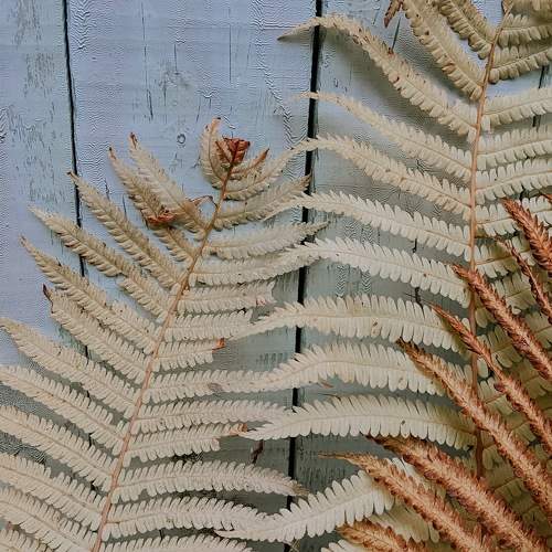 Photo #11123588