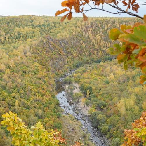 Photo #11123622