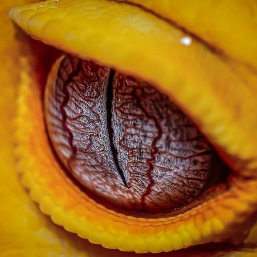 Photo #11123733