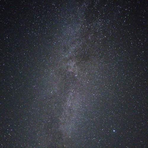 Фотография #11123791