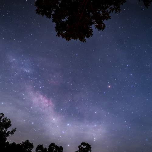 Photo #11123792