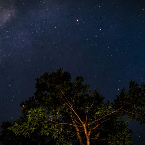 Photo #11123793