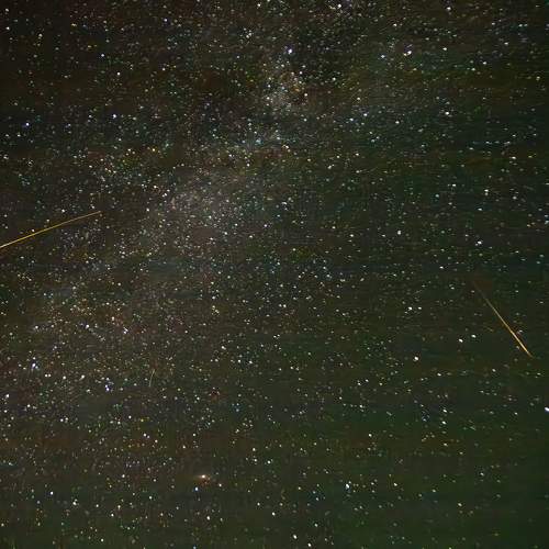 Photo #11123970