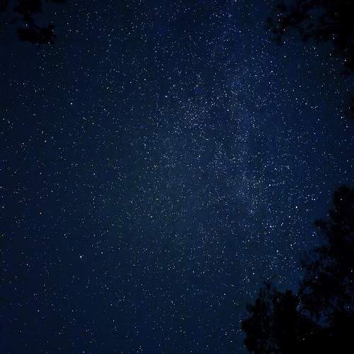 Photo #11124153