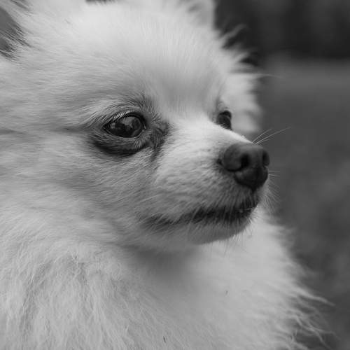 Ум и чувства.