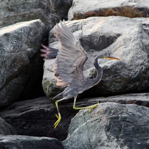 Фотография #11124291