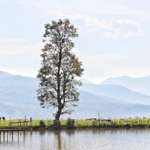 Photo #11124365