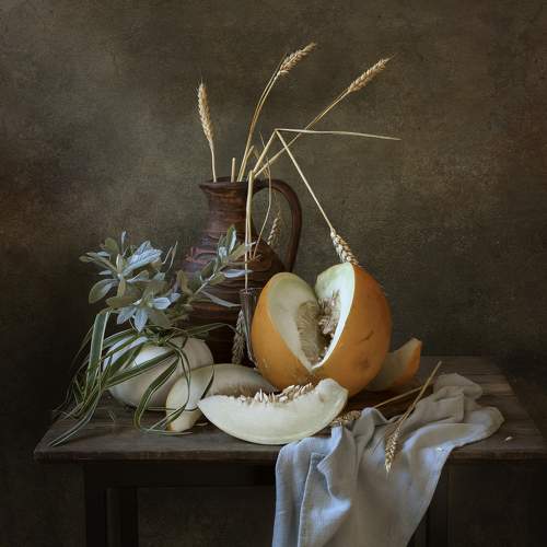 Photo #11124384