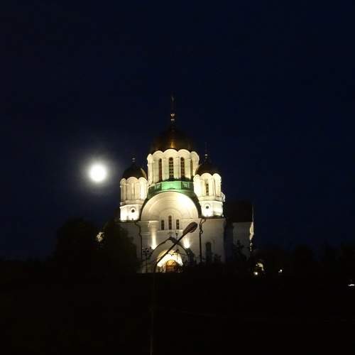 Photo #11124485