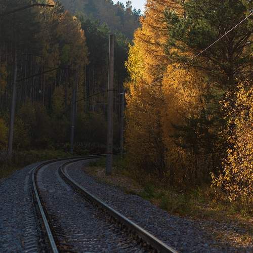 Фотография #11125080