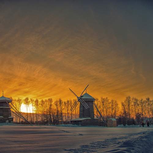 Photo #11125101