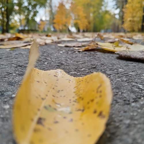 Photo #11125325