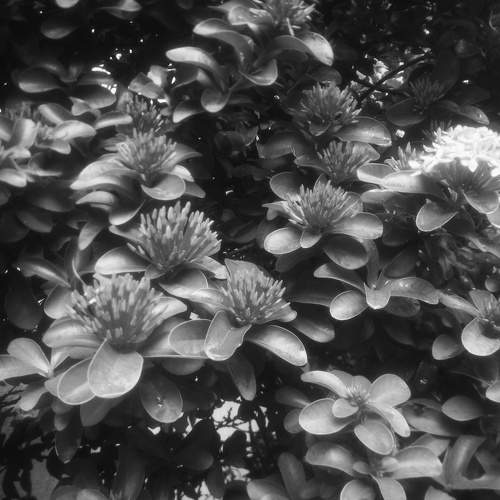 Photo #11125493
