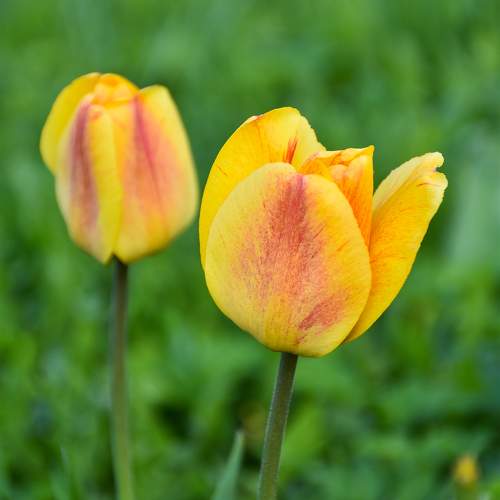 Photo #11125858