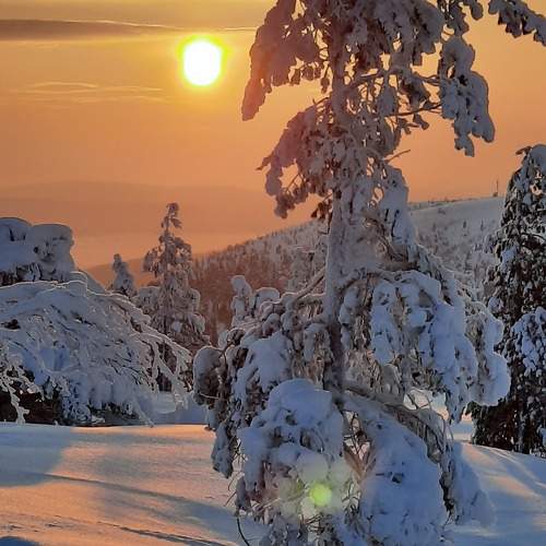 Photo #11125923