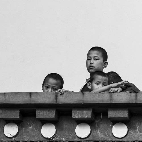 Photo #11126262