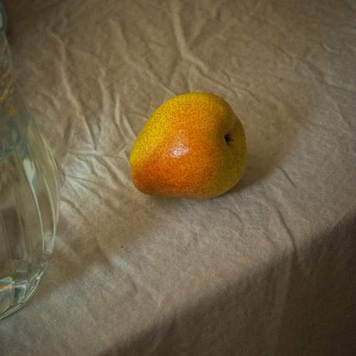 Photo #11126445