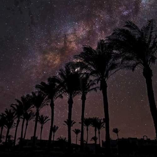 Photo #11126514