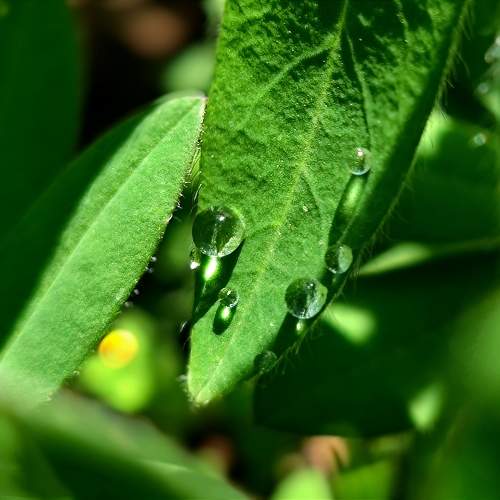 Photo #11126690