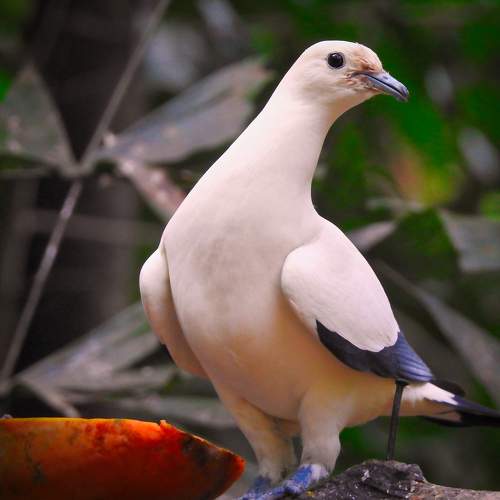 Photo #11126709