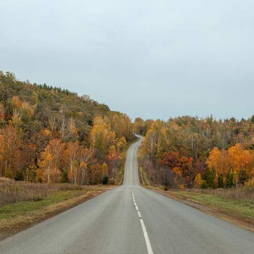 Photo #11126729