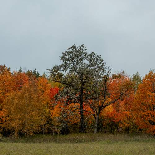 Photo #11126730