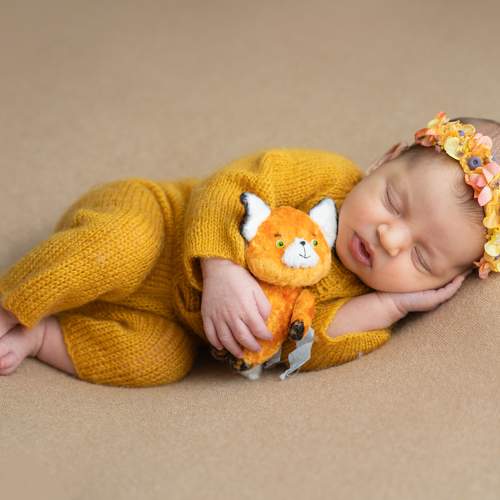 Photo #11126808