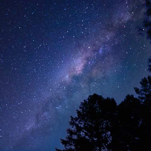 Photo #11126885